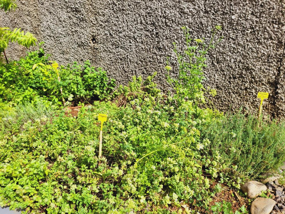 Villa Paradise Madeira Ocean View Fajã da Ovelha Dış mekan fotoğraf
